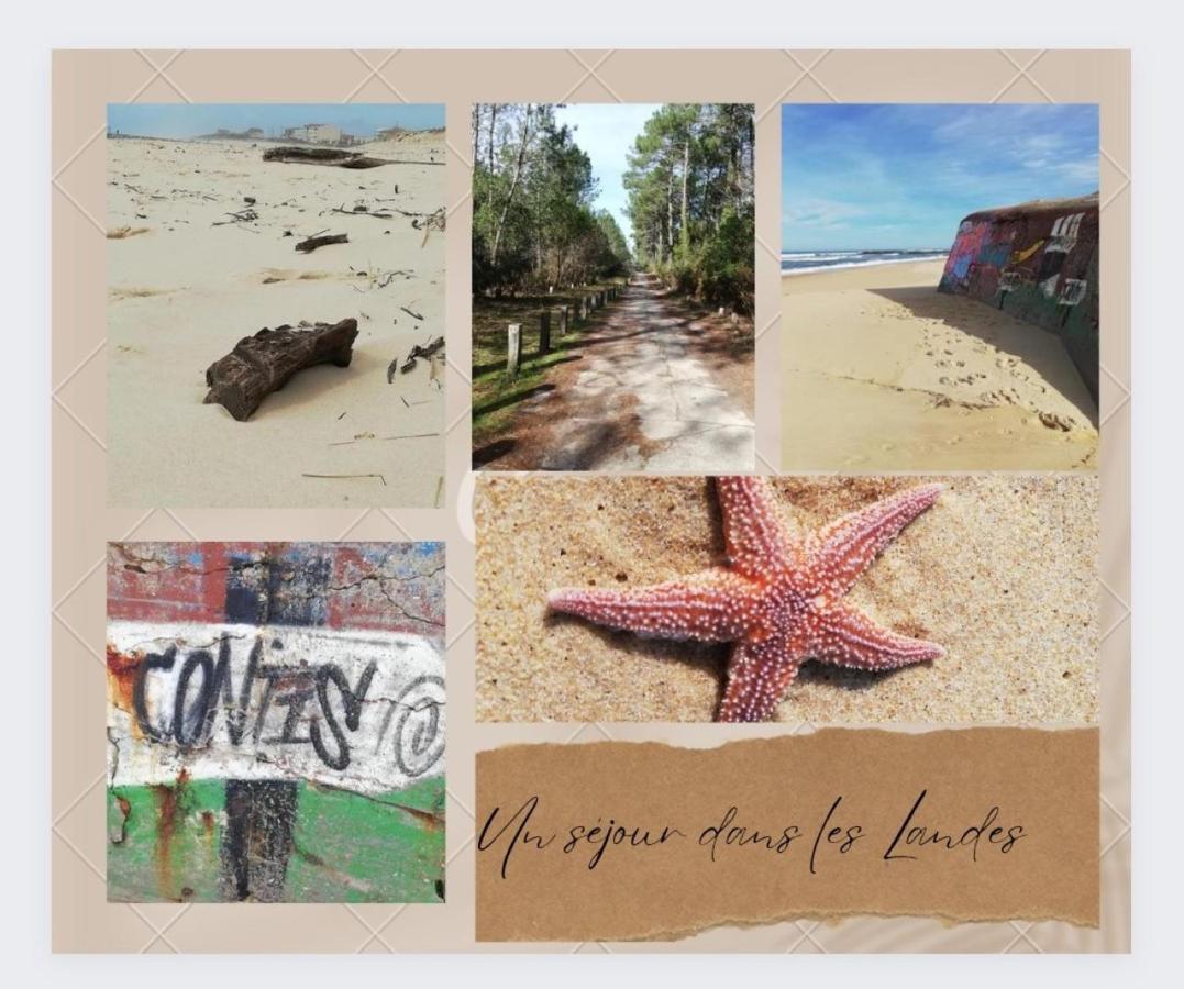 Sbvacances Tout Confort 2Ch Et 1Sdb, Environnement Calme Et Verdoyant Dans Camping 4 Etoiles Saint-Julien-en-Born Luaran gambar